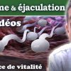 Sperme (Ojas) et éjaculation [3 vidéos]