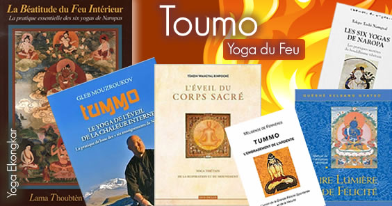 Les pratiques secrètes du bouddhisme tibétain Les Six Yogas de Naropa 