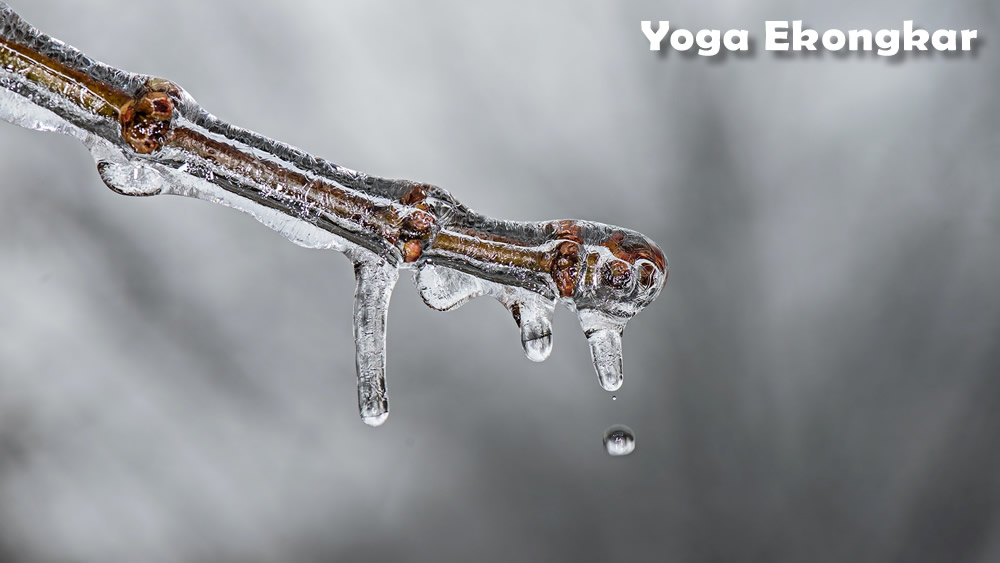 (Tokyo) Le rituel du bain glacé pour bien commencer l&rsquo;année [vidéo]